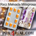 Raíz Malvada Milagrosa new12